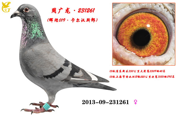 ܹ231261