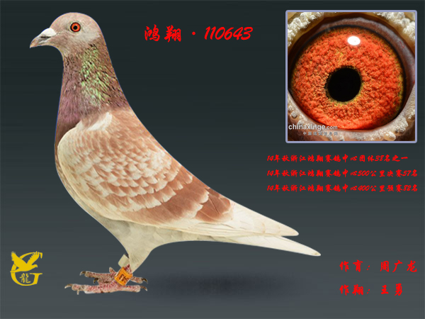 衤110643