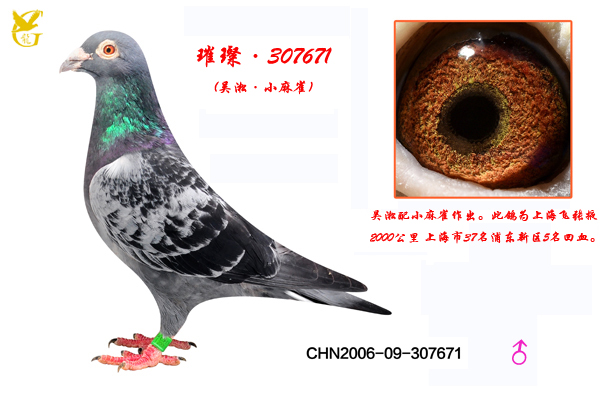 財307671