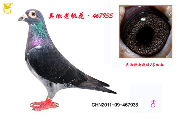 һ467933
