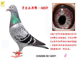 142571
