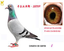 328709