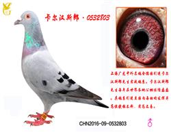 0532803