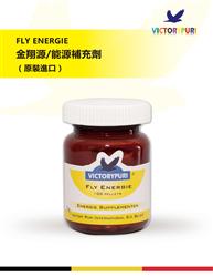 Դ/Դa䄩.Vfly Energie ԭbMڣ