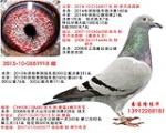 鿴ƷͼƬ