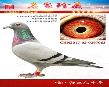 蹫500207ֱ063
