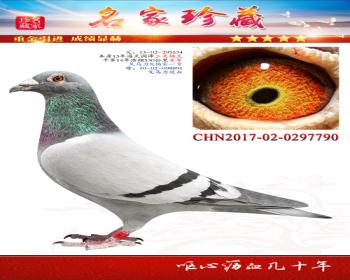 13꺣ظ790