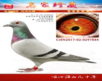 X  ǧھŮ884