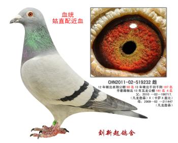ĸ232