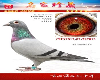 ׿鳲룬013